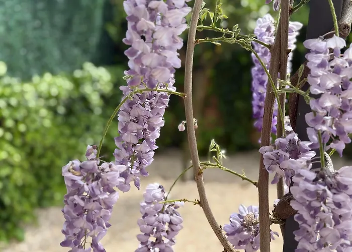 Bakea Apto Con Jardin Privado