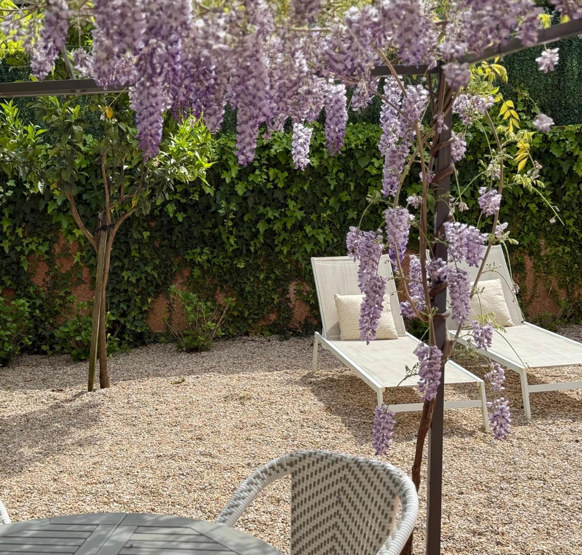 Apartment Bakea Apto Con Jardin Privado