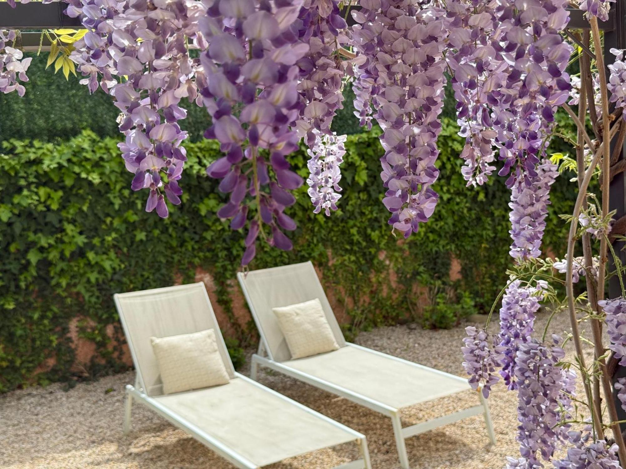 Bakea Apto Con Jardin Privado Apartment *